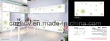 American Style Almirah With UV Color Painting Panel and Wardrobe and Cabinet Door and Soliding Door (ZH-C848)