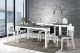 6 Seater Glass Dining Table Dining Room Furniture (CT-B108)