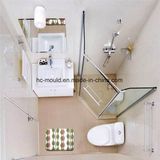 SMC Mould for Sanitary Ware/ Bathroom Floor/ Wall/ Bathtub/ Basin/ Wash Bowl