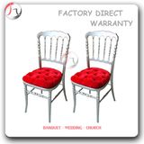 Decorative Upholstered Cushion Seating Silver Napoleon Chairs (AT-128)