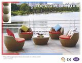 Vase Rattan Outdoor Garden Furniture Sofa (TGBS-011)