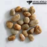 Natural Stone Polished Yellow Cobblestone for Landscape & Garden (RS-005)