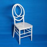 Wooden and Resin Wedding Banquet Chiavari Napoleon Phoenix Sillsa Chair