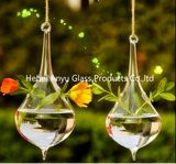 2016 Hot Sale Teardrop-Shaped Hanging Glass Vase for Home Decoration
