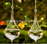 2016 Hot Sale Teardrop-Shaped Hanging Glass Vase for Home Decoration