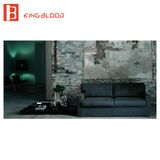 Loveseat 2 Seater Sofa Sleeper for Living Room Furniture Sets