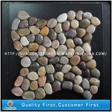 Natural Yellow/Black/Grey Polished Pebble Stone on Mesh