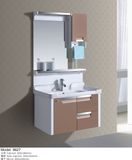 PVC Shining Color with Stainless Accessories Cabinet