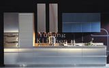 Baked Paint Kitchen Cabinet (M-L55)
