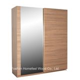 Elegant Nice Deco Bedroom Mirrored Sliding Wardrobe (WB70)