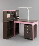 Computer Desk / Study Desk/ Child Desk (S-14FG9L)