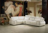 Big Two Armrest Two Handrails Corner Leather Sofa