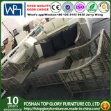 Modern Outdoor Rattan/Wicker Sofa Leisure Garden Furniture (TG-6009)