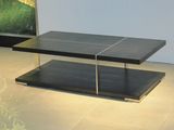 MDF with Veneer Stainless Steel Modern Style Functional Coffee Table (CJ-M08c)