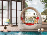 Outdoor /Rattan / Garden / Patio/ Hotel Furniture Rattan Lounge Chair (HS 1029CL)