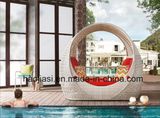 Outdoor /Rattan / Garden / Patio/ Hotel Furniture Rattan Lounge Chair (HS 1029CL)