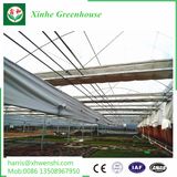 New Design Square Transparent Foldable Garden Greenhouse