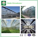 Polycarbonate Agricultural Greenhouse with Float Glass