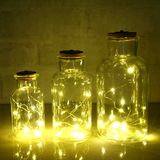 Glass Bottle Vase with LED Light Decoration