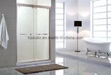 Simple Shower Room Enclosure Door Screen (SS-102)
