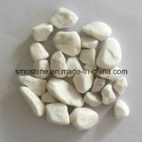 Mechanism Pebbles Pebble&Gravel Pebbles (SMC-MPW038)