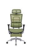 Net Back Office Chair High End Ergohuman Chair