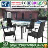 Outdoor Garden Rattan Dining Set (TG-152)