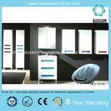 Hangzhou Factory Made Floor Mounted PVC Bathroom Vanity, Cabinet (BLS-16100)