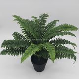 New Design Artificial Plant OEM Boston Fern Bonsai Indoor Decoration