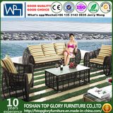 Garden Outdoor Patio Wicker Rattan Sofa (TG-008)