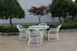 5 PCS of Aluminium Rattan Sofa Set