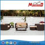 Outdoor Rattan Leisure Living Room Sofa for Home Garden