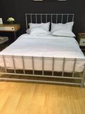 Morden Metal Queen Bed (OL17158)