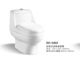 Ceramic One Piece Water Closet/Siphonic One Piece Water Closet (NJ-5903)