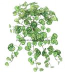Artificial Plant Begonia Vine for Hotel Decor