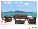 Modern Wicker/Rattan Sofa for Outdoor Furniture (TG-035)