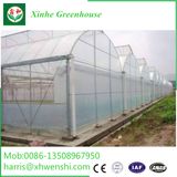 China Supplier Low Cost Glass Greenhouse for Commercial