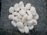 Chinese Natural/Snow White Pebble Cobblestone for Park/Garden