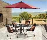 Outdoor /Rattan / Garden / Patio / Hotel Furniture Rattan Chair & Table Set (HS1035C&HS6001DT)
