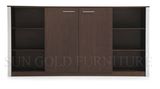 Minimalist Office Storage Cabinet Livingroom Furniture (SZ-FC062)