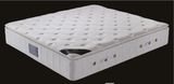 Super Design Very Comfortable Pillow Top Latex Pocket/Box Spring Mattress