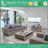 Garden Wicker Furniture Outdoor Rattan Sofa Set with Cushion Rattan 2-Seat Sofa Leisure Wicker Sofa Patio Furniture Sofa