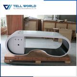 Tw New Fashion Black and White Manager Office Desk