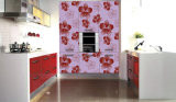 Kitchen Furniture Wooden Cabinet with Pattern Design (ZH-9620)