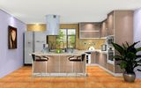 Modern UV High Glossy Kitchen Cabinet (Zx-064)