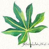 Charming Fatsia Leaf Handmade Painting Art for Home Decor