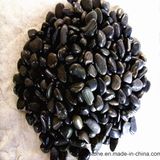 High Quality Pebble Black Pebble Stone Garden Paving Landscaping