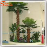 Artificial Palm Tree for Indoor Decoration