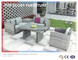 Outdoor Wicker Garden Rattan Sofa (TG-056)