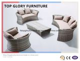 New Design Sofa Set Rattan Furniture Outdoor Furniture Sofa (TG-039)